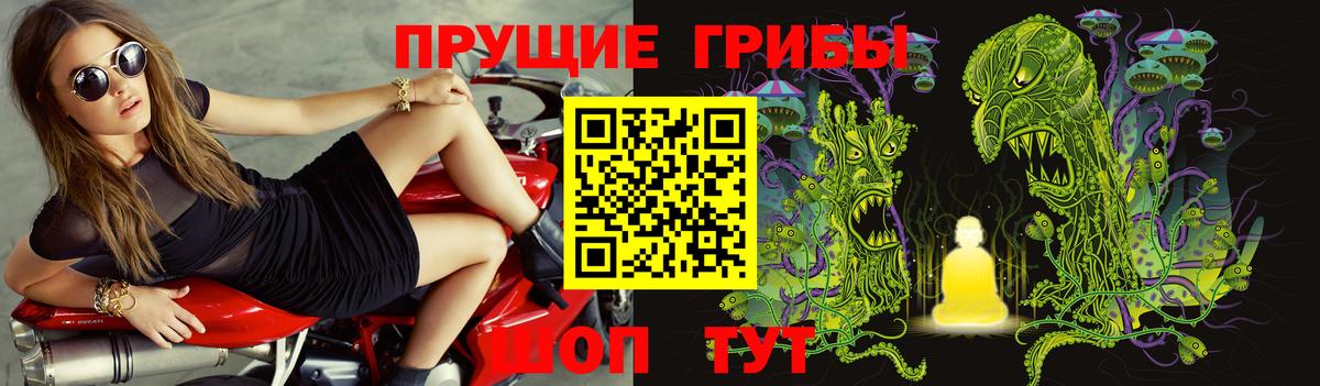 Псилоцибиновые грибы прущие грибы Раменское