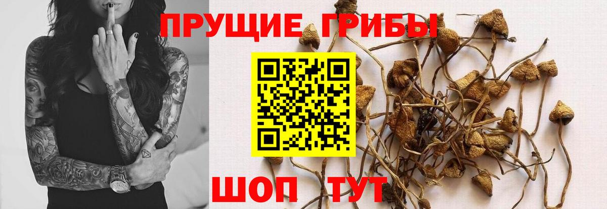 купить   Галлюциногенные грибы ЛСД  Вход с VPN  Раменское 